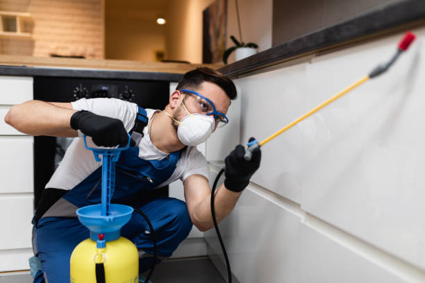 Best Pest Removal Services  in Ke Providence, LA