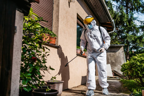 Best Pest Prevention Services  in Ke Providence, LA